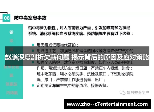 赵鹏深度剖析欠薪问题 揭示背后的原因及应对策略