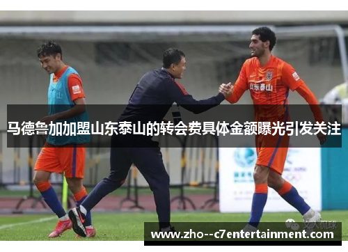 马德鲁加加盟山东泰山的转会费具体金额曝光引发关注
