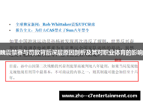 魏震禁赛与罚款背后深层原因剖析及其对职业体育的影响