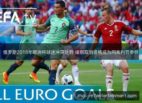 俄罗斯2016年欧洲杯球迷冲突处罚 缓期取消资格成为同类判罚参照 俄罗斯2016年欧洲杯球迷冲突处罚 缓期取消资格成为同类判罚参照